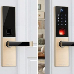 khoa van tay dessmann a800